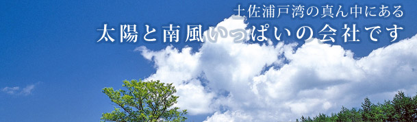 土佐浦戸湾の真ん中にある　太陽と南風いっぱいの会社です